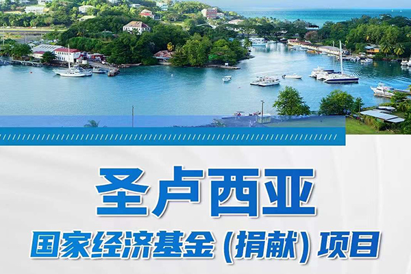 圣卢西亚捐赠入籍